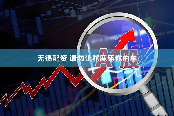 无锡配资 请勿让驼鹿舔你的车