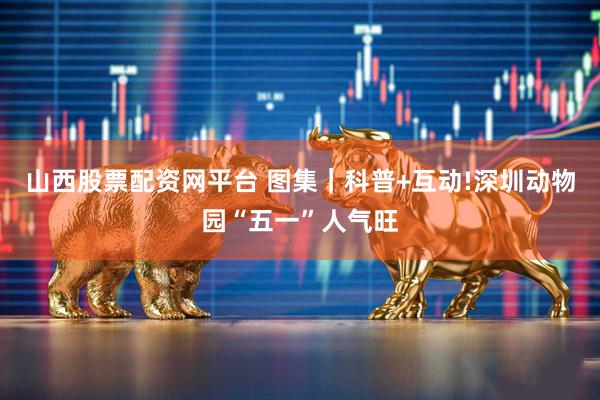 山西股票配资网平台 图集｜科普+互动!深圳动物园“五一”人气旺