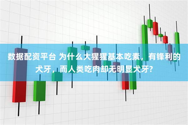 数据配资平台 为什么大猩猩基本吃素，有锋利的犬牙，而人类吃肉却无明显犬牙?