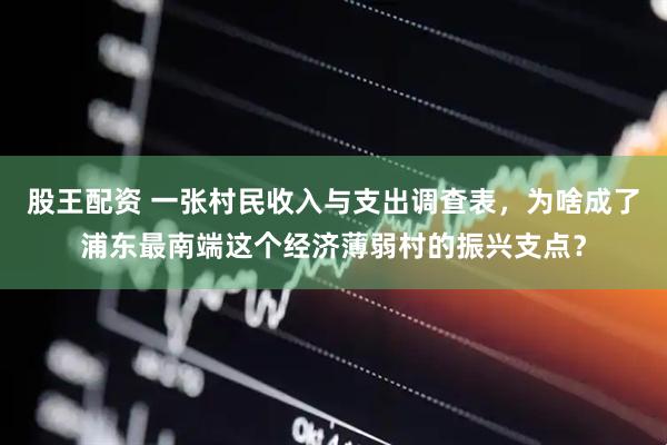 股王配资 一张村民收入与支出调查表，为啥成了浦东最南端这个经济薄弱村的振兴支点？